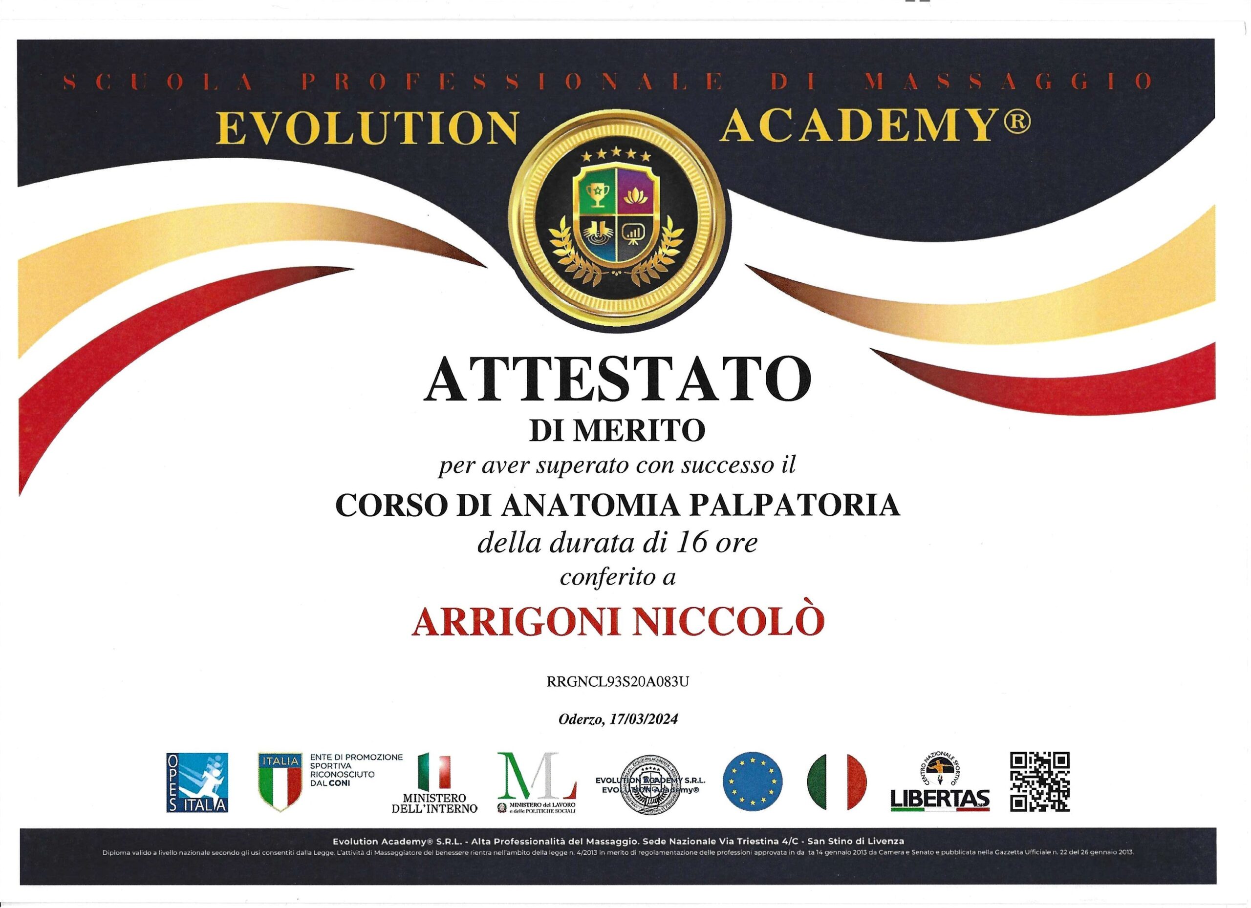 anatomia palpatoria